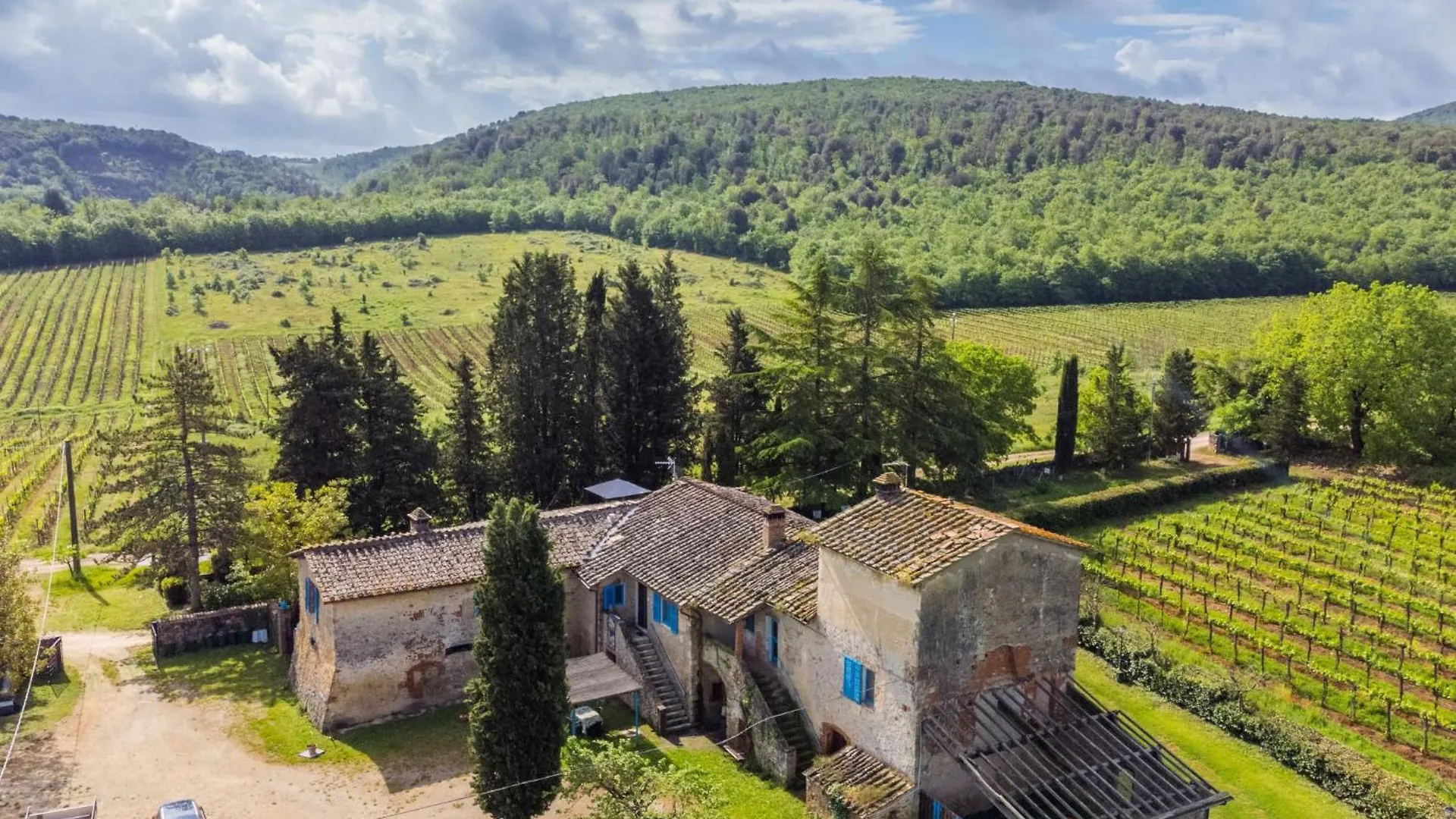 Apartment Fattoria Petraglia - Cedro By Interhome Monteriggioni 0*,  Italy